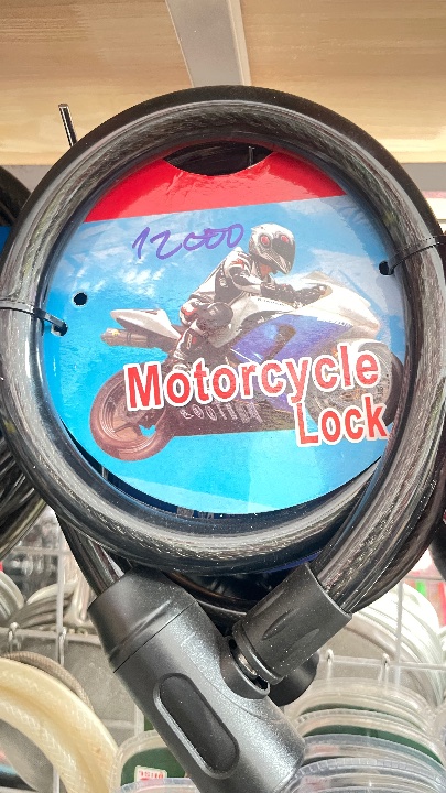 Motorcycle lock / bike lock