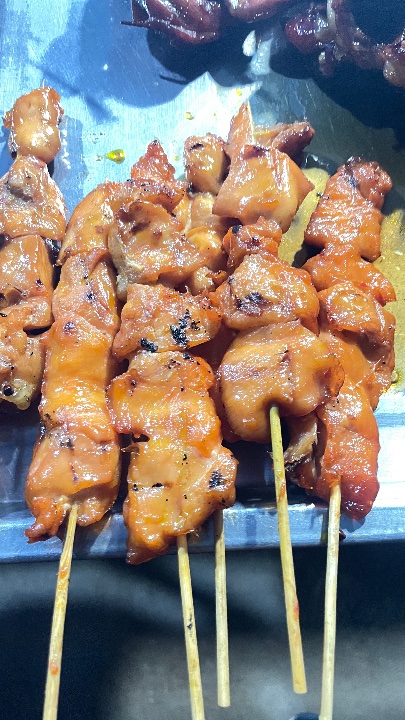 Grilled Chicken Breast Skewer