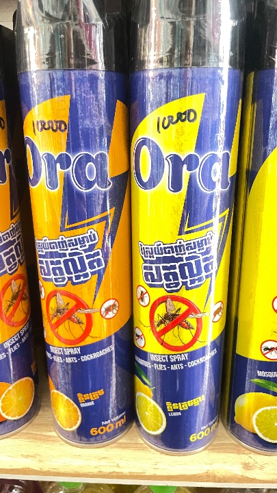 Insect spray / mosquito spray