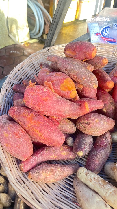 Steamed Sweet Potato